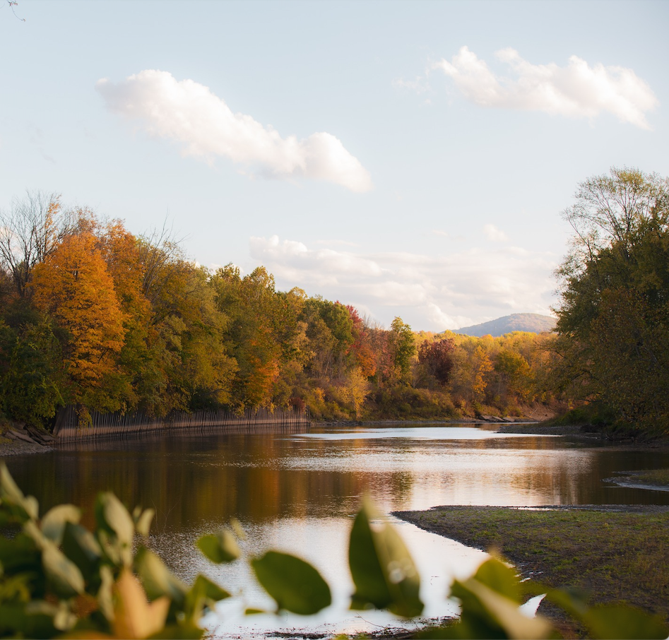 authentic ESG strategies